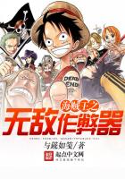 One Piece Invincible Cheater